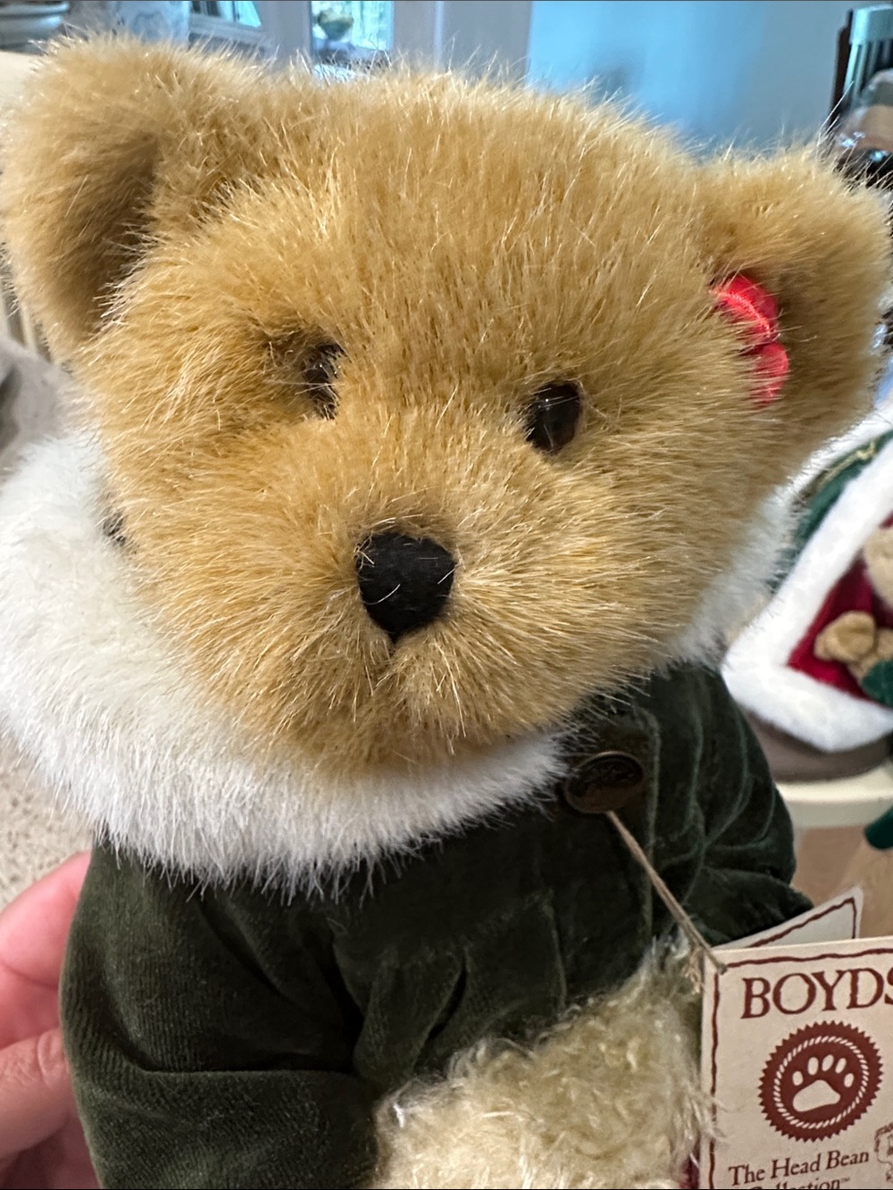 Bear of the Month 2007 Limited Edition Boyds bear!